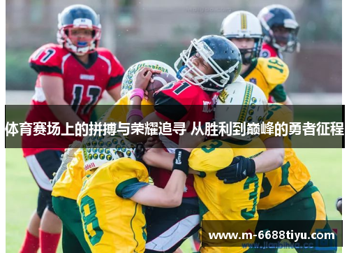体育赛场上的拼搏与荣耀追寻 从胜利到巅峰的勇者征程